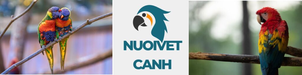 Nuôi Vẹt Cảnh