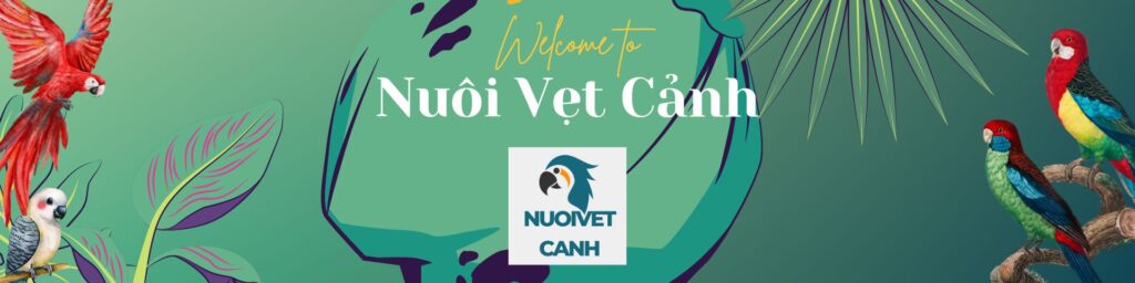 Nuôi Vẹt Cảnh