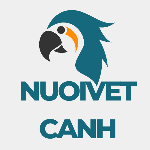 nuoivetcanh.com